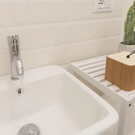 Time Capsule 트리에스테